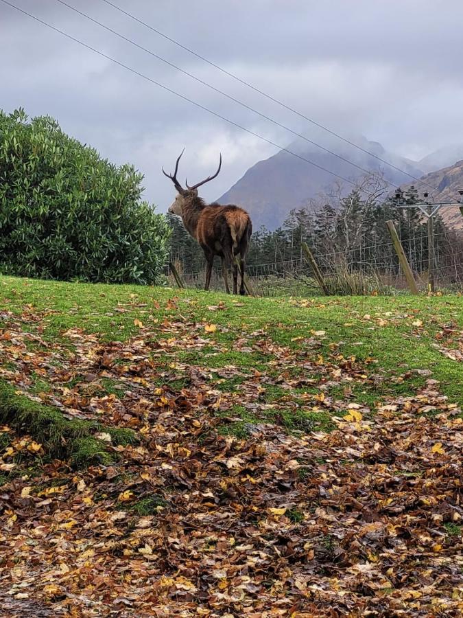 Вілла Ormasaig, Self Catering, One Mile To Town & Close To Ben Nevis Форт-Вільям Екстер'єр фото
